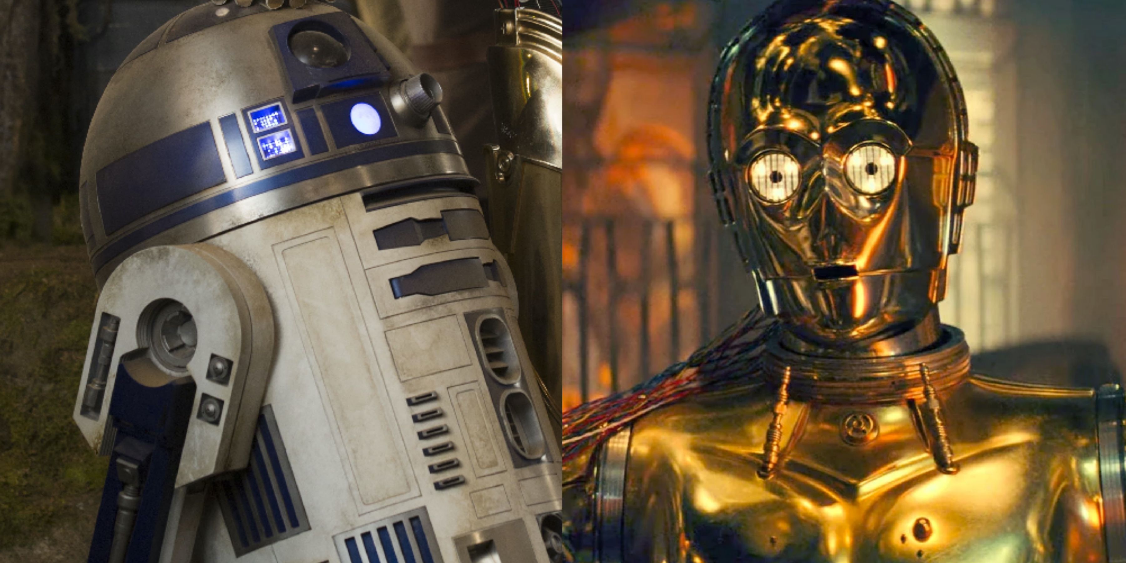 R2-D2 and C3-PO